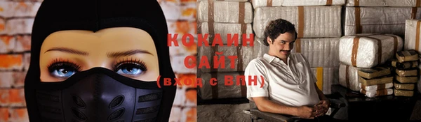 молекула духа Волоколамск